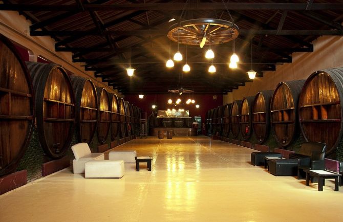 Bodegas Medio Dia1 